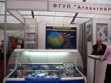 Рыба Балтики 2006 — ФГУП АтлантНИРО